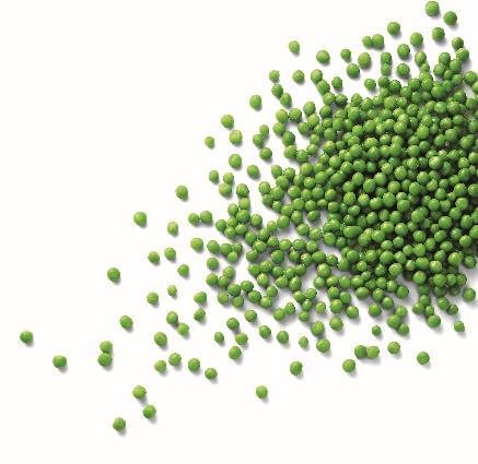Green peas — IQF Frozen Vegetables